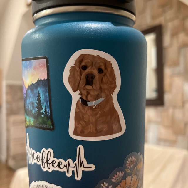 Custom Water Bottle Stickers